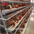 Equipo de granja de aves de corral Jaulas de pollo usadas en venta / Jaula de pollo capa